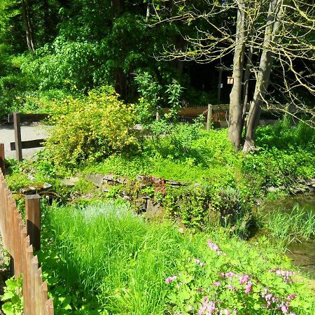 Hessisch Oldendorf Hoellenmuehle Bed & Breakfast At The Mill Pond מראה חיצוני תמונה