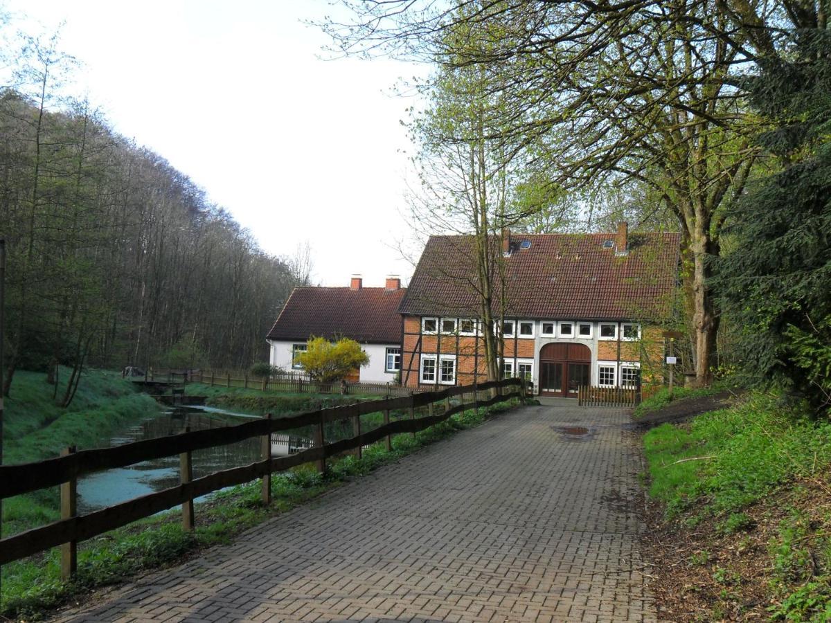 Hessisch Oldendorf Hoellenmuehle Bed & Breakfast At The Mill Pond מראה חיצוני תמונה