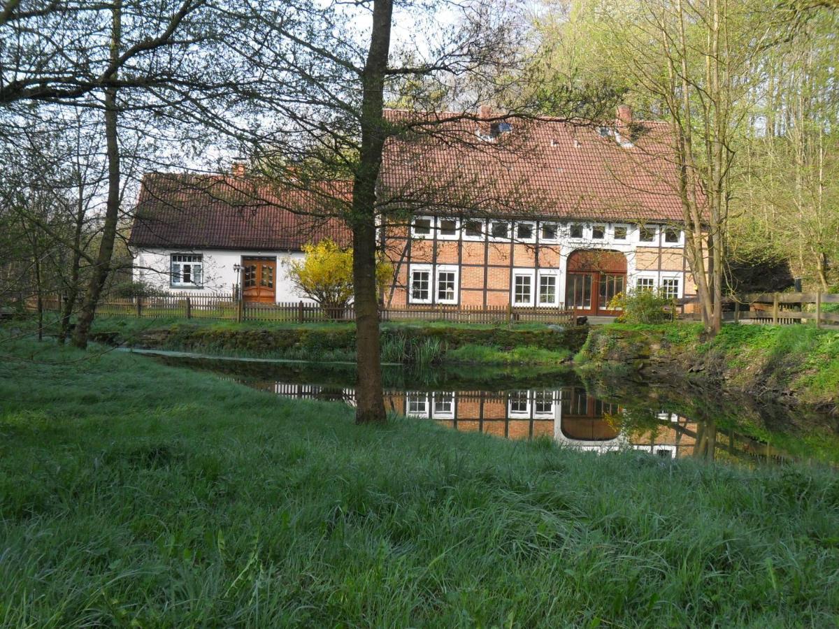 Hessisch Oldendorf Hoellenmuehle Bed & Breakfast At The Mill Pond מראה חיצוני תמונה