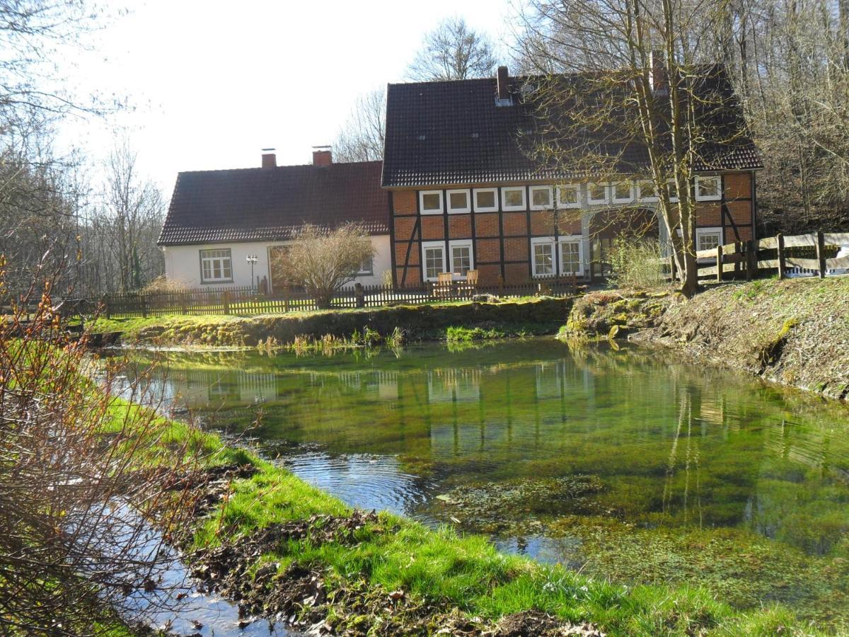 Hessisch Oldendorf Hoellenmuehle Bed & Breakfast At The Mill Pond מראה חיצוני תמונה